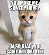 Image result for happy cats meme