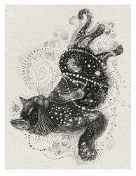 Image result for Space Black Cat Art