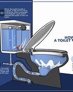 Image result for How Toilets Work Diagram