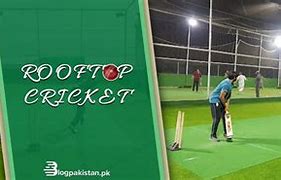 Image result for Rooftop Cricket