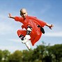 Image result for Do Kung Fu