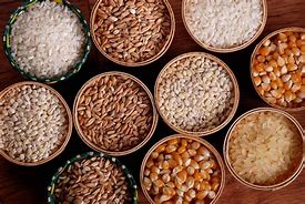 Image result for Grain Items