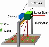 Image result for Laser for Plant Growth