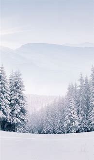 Image result for Winter Wallpaper Vertical