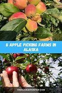 Image result for Alaskan Apple Farm