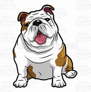 Image result for English Bulldog Cartoon Drawings