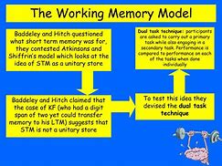 Image result for What Is Working Memory
