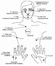 Image result for What Is the Main Body Technique