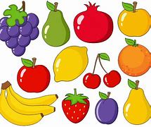 Image result for Basic Fruit Clip Art