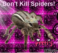 Image result for Cute Spider Meme