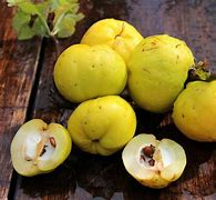 Image result for Fruits That Look Like Apple's