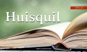 Image result for huisquil