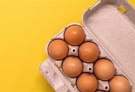 Image result for Can Vegans Eat Eggs