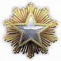 Image result for CS:GO Highest Service Medal