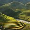 Image result for Yunan rice terraces