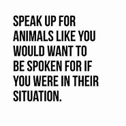 Image result for Quotes Animal Activists