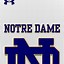Image result for Notre Dame Football