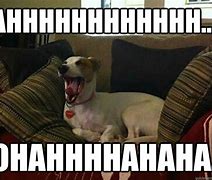 Image result for Yawn MEME Funny