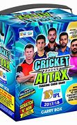 Image result for Cricket Items