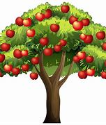 Image result for Apple Tree with Few Fruits