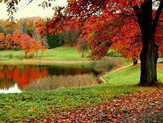 Image result for Autumn Wallpaper for Windows 10