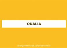 Image result for Qualia Definition