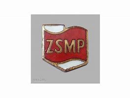 Image result for co_to_za_zsmp