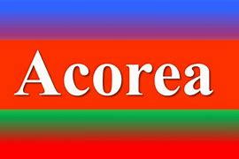 Image result for acorea