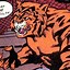 Image result for DC Tiger Man