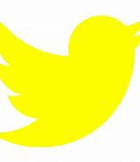 Image result for Twitter User Icon