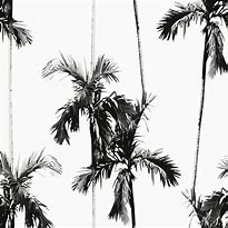 Image result for Black and White Tree Wallpaper