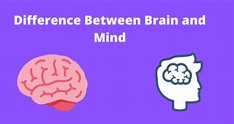 Image result for Difference Between Mind and Brain of Gage Case