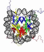 Image result for Nucleosome Structure