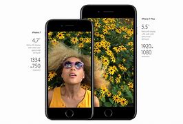 Image result for iPhone 7 Camera Quality Examples