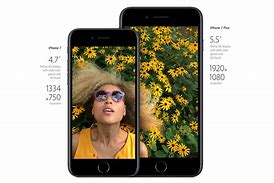 Image result for iphone 7 plus cameras quality