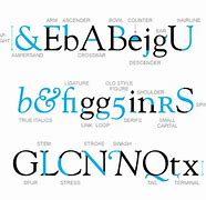 Image result for Typography Parts of B