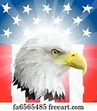 Image result for Bald Eagle US Flag