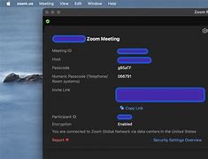 Image result for Zoom Gallery Button On a Mac