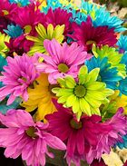 Image result for Colorful Flower Designs
