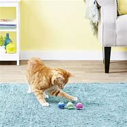 Image result for Cat Play Toys