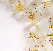 Image result for Side Flower Wallpaper