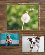 Image result for Print Size 4X6