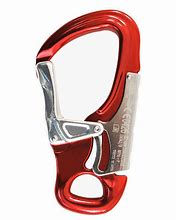 Image result for Double Gate Carabiner