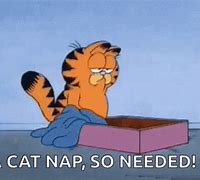 Image result for Cat Nap Meme