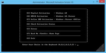 Image result for Windows 1.0 Activation Screen