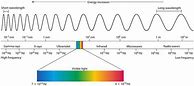 Image result for Rays Science Chart