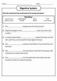 Image result for Free 4th Grade Science Worksheets