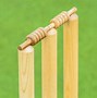 Image result for Spring Back Wickets