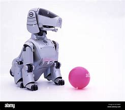 Image result for Aibo Ers 111