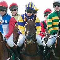 Image result for Race Horse Photography